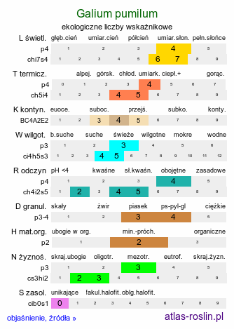 ekologiczne liczby wskaźnikowe Galium pumilum (przytulia szorstkoowockowa)