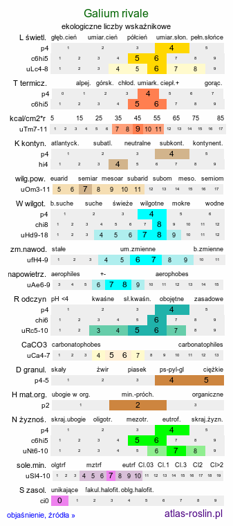 ekologiczne liczby wskaźnikowe Galium rivale (przytulia lepczyca)