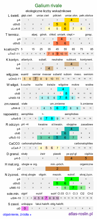 ekologiczne liczby wskaźnikowe Galium rivale (przytulia lepczyca)