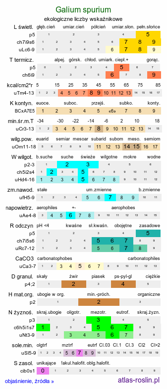 ekologiczne liczby wskaźnikowe Galium spurium (przytulia fałszywa)