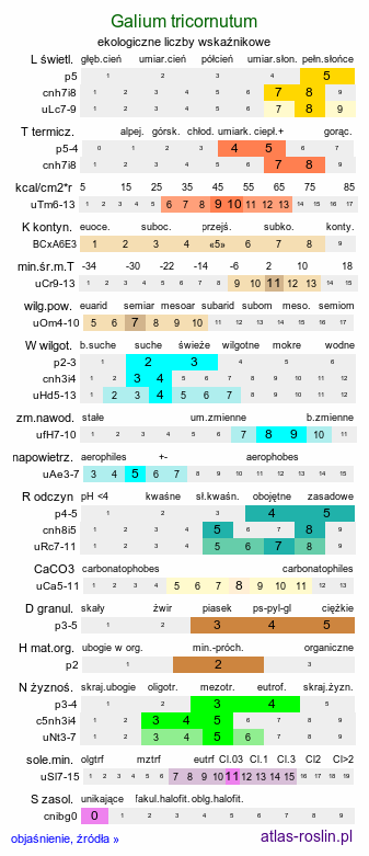 ekologiczne liczby wskaźnikowe Galium tricornutum (przytulia trójrożna)