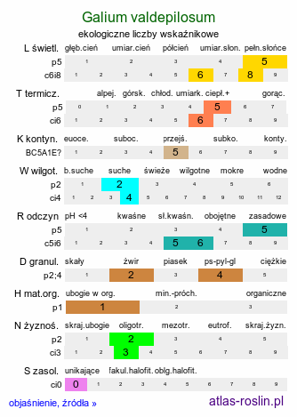 ekologiczne liczby wskaźnikowe Galium valdepilosum (przytulia stepowa)