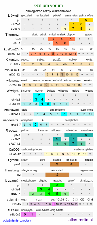 ekologiczne liczby wskaźnikowe Galium verum (przytulia właściwa)