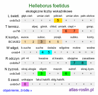 ekologiczne liczby wskaźnikowe Helleborus foetidus (ciemiernik cuchnący)