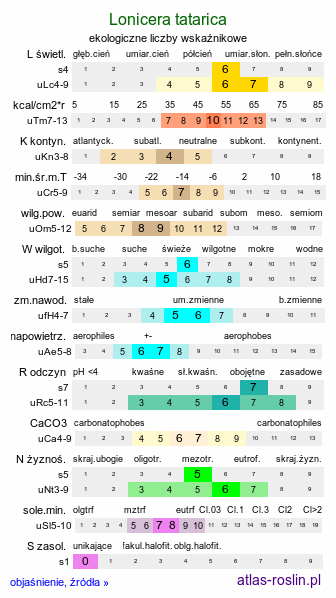 ekologiczne liczby wskaźnikowe Lonicera tatarica (wiciokrzew tatarski)