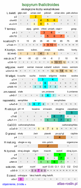 ekologiczne liczby wskaźnikowe Isopyrum thalictroides (zdrojówka rutewkowata)