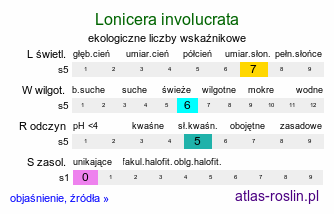 ekologiczne liczby wskaźnikowe Lonicera involucrata (wiciokrzew skrytoowocowy)