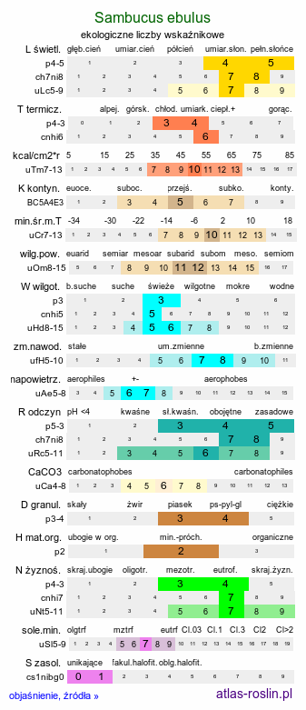 ekologiczne liczby wskaźnikowe Sambucus ebulus (bez hebd)