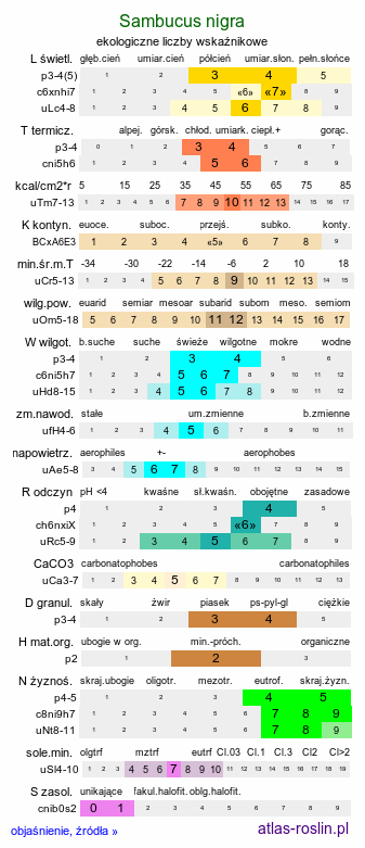 ekologiczne liczby wskaźnikowe Sambucus nigra (bez czarny)