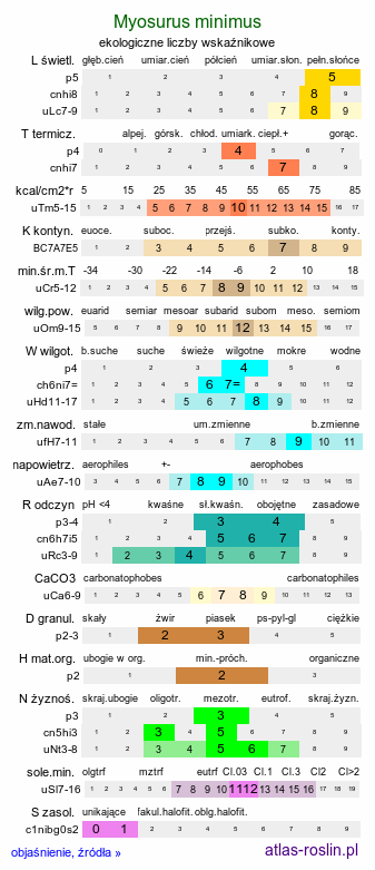 ekologiczne liczby wskaźnikowe Myosurus minimus (mysiurek drobny)