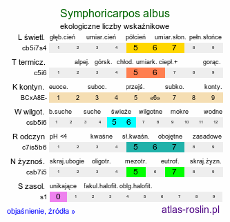 ekologiczne liczby wskaźnikowe Symphoricarpos albus (śnieguliczka biała)