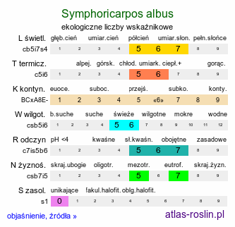 ekologiczne liczby wskaźnikowe Symphoricarpos albus (śnieguliczka biała)