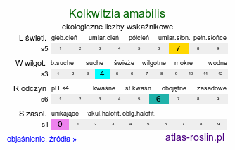 ekologiczne liczby wskaźnikowe Kolkwitzia amabilis (kolkwicja chińska)