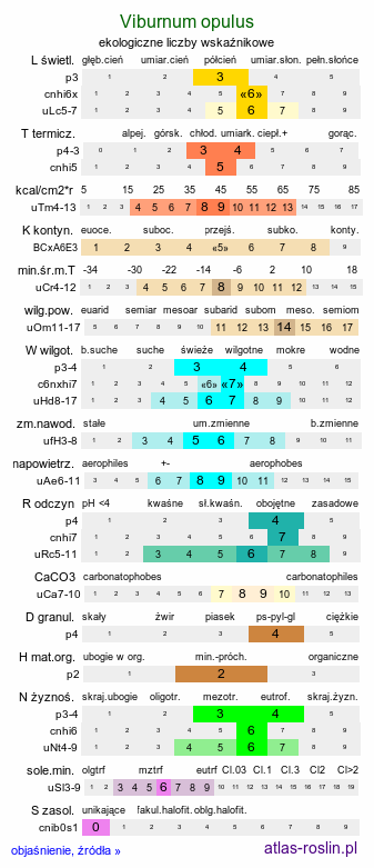 ekologiczne liczby wskaźnikowe Viburnum opulus (kalina koralowa)