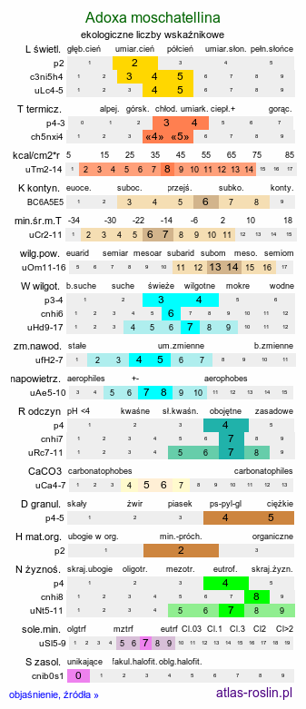 ekologiczne liczby wskaźnikowe Adoxa moschatellina (piżmaczek wiosenny)