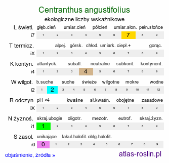 ekologiczne liczby wskaźnikowe Centranthus angustifolius