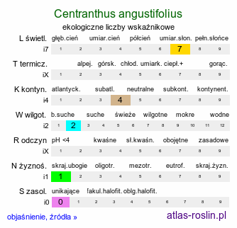 ekologiczne liczby wskaźnikowe Centranthus angustifolius