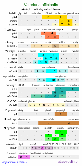 ekologiczne liczby wskaźnikowe Valeriana officinalis (kozłek lekarski)