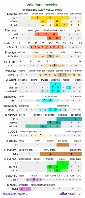ekologiczne liczby wskaźnikowe Valeriana excelsa ssp. sambucifolia (kozłek bzowy)