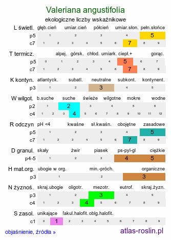 ekologiczne liczby wskaźnikowe Valeriana angustifolia (kozłek wąskolistny)
