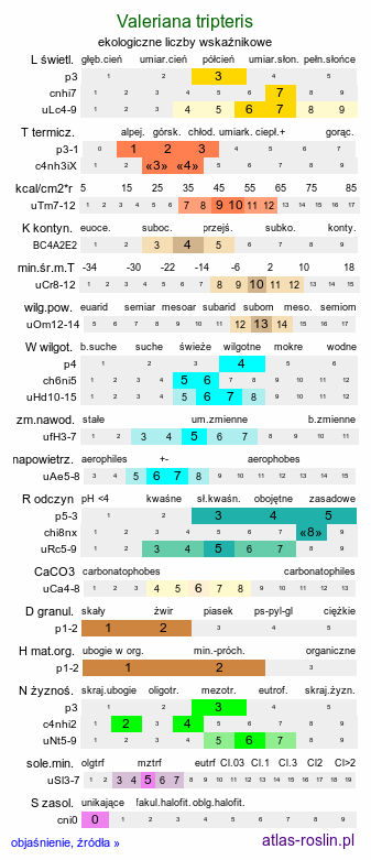 ekologiczne liczby wskaźnikowe Valeriana tripteris (kozłek trójlistkowy)