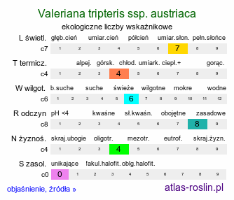 ekologiczne liczby wskaźnikowe Valeriana tripteris ssp. austriaca (kozłek trójlistkowy austriacki)