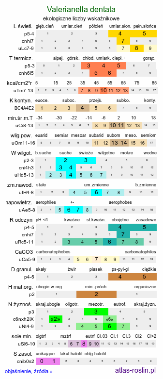 ekologiczne liczby wskaźnikowe Valerianella dentata (roszpunka ząbkowana)