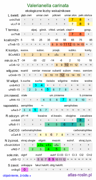 ekologiczne liczby wskaźnikowe Valerianella carinata (roszpunka ostrogrzbiecista)