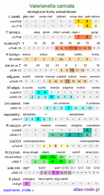 ekologiczne liczby wskaźnikowe Valerianella carinata (roszpunka ostrogrzbiecista)