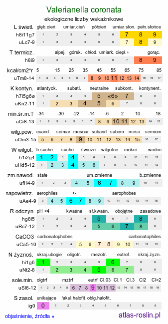 ekologiczne liczby wskaźnikowe Valerianella coronata (roszpunka koroniasta)