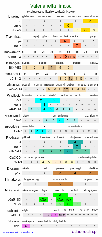 ekologiczne liczby wskaźnikowe Valerianella rimosa (roszpunka bruzdkowana)