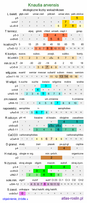 ekologiczne liczby wskaźnikowe Knautia arvensis (świerzbnica polna)