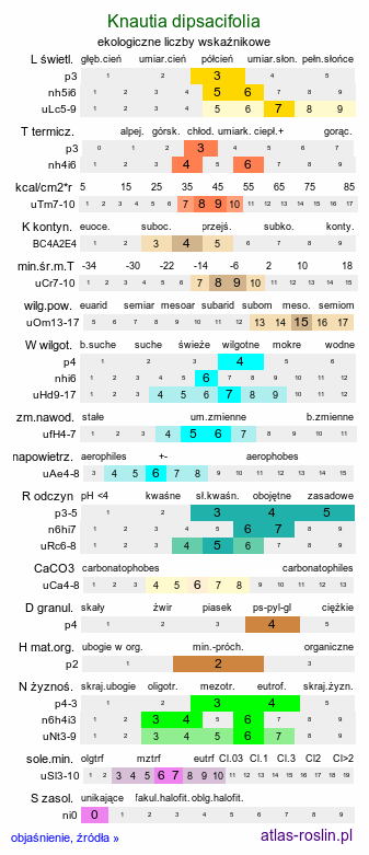 ekologiczne liczby wskaźnikowe Knautia dipsacifolia (świerzbnica leśna)