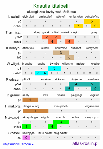 ekologiczne liczby wskaźnikowe Knautia kitaibelii (świerzbnica karpacka)