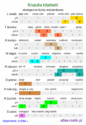 ekologiczne liczby wskaźnikowe Knautia kitaibelii (świerzbnica karpacka)