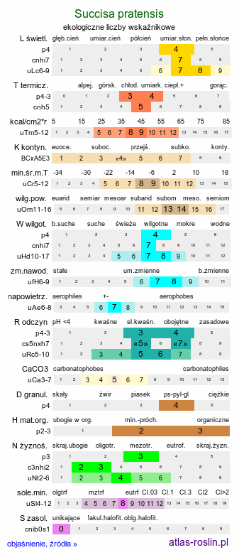 ekologiczne liczby wskaźnikowe Succisa pratensis (czarcikęs łąkowy)