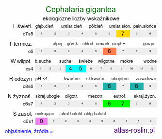 ekologiczne liczby wskaźnikowe Cephalaria gigantea (głowaczek olbrzymi)