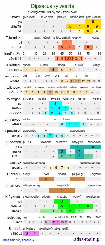 ekologiczne liczby wskaźnikowe Dipsacus sylvestris (szczeć pospolita)