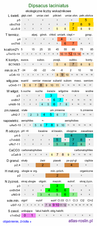 ekologiczne liczby wskaźnikowe Dipsacus laciniatus (szczeć wykrawana)