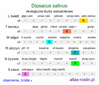 ekologiczne liczby wskaźnikowe Dipsacus sativus (szczeć sukiennicza)