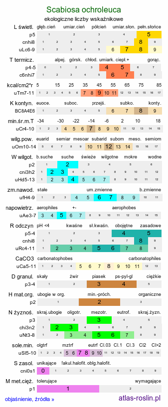 ekologiczne liczby wskaźnikowe Scabiosa ochroleuca (driakiew żółtawa)
