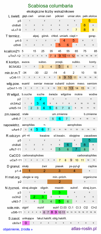 ekologiczne liczby wskaźnikowe Scabiosa columbaria (driakiew gołębia)