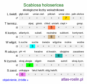 ekologiczne liczby wskaźnikowe Scabiosa holosericea