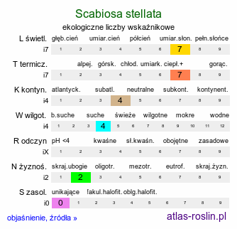 ekologiczne liczby wskaźnikowe Scabiosa stellata (driakiew gwiaździsta)