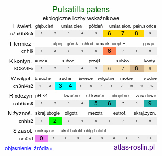 ekologiczne liczby wskaźnikowe Pulsatilla patens (sasanka otwarta)