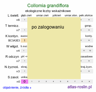 ekologiczne liczby wskaźnikowe Collomia grandiflora (kollomia główkowata)