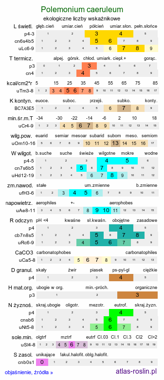 ekologiczne liczby wskaźnikowe Polemonium caeruleum (wielosił błękitny)
