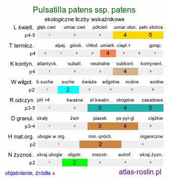 ekologiczne liczby wskaźnikowe Pulsatilla patens ssp. patens (sasanka otwarta typowa)