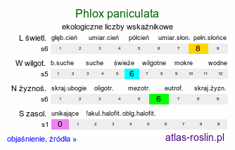 ekologiczne liczby wskaźnikowe Phlox paniculata (floks wiechowaty)