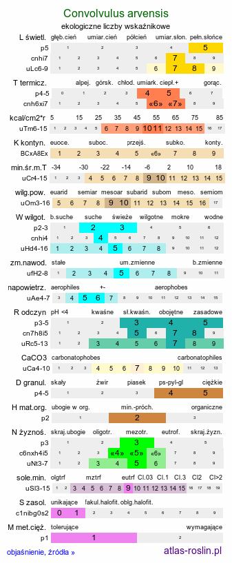 ekologiczne liczby wskaźnikowe Convolvulus arvensis (powój polny)